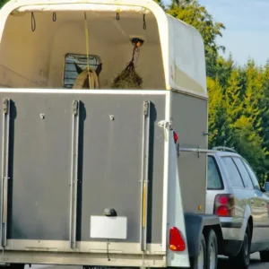 Führerschein Klasse BE